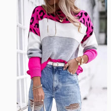 Load image into Gallery viewer, Casual Women Block Printed Leopard Design Sweaters - Ailime Designs