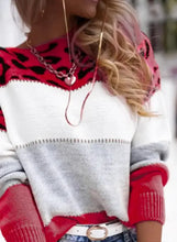 Load image into Gallery viewer, Casual Women Block Printed Leopard Design Sweaters - Ailime Designs