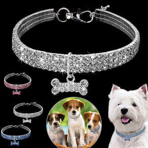 Animal Decorative Walking Leashes And Collars - Ailime Designs