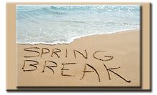 Load image into Gallery viewer, Ailime Designs e-Gift Cards