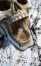 Load image into Gallery viewer, Best Unique Medevil Skelton Figurine Collection - Ailime Designs