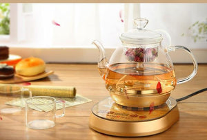Stainless Steel Electric Teapot Boiler-  Kitchen Appliances - Ailime Designs