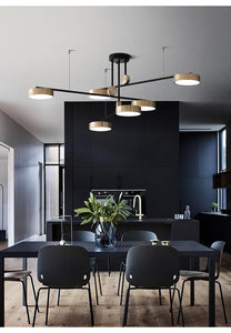 Elegant Sphere Design Residential & Commercial Rotating Light Fixture