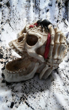 Load image into Gallery viewer, Best Unique Medevil Skelton Figurine Collection - Ailime Designs
