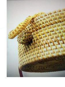 Women's Stylish Summer Delightful Bamboo Straw Handbags