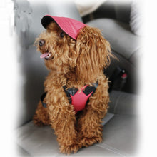 Load image into Gallery viewer, Dog Cute Design Hat Accessories - Ailime Designs