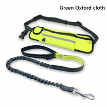 Load image into Gallery viewer, Reflective Animal Elastic Nylon Leashes - Ailime Designs