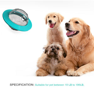 Best Shopped Pet Accessories - Ailime Designs