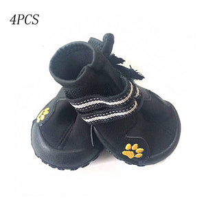 Dogs 4pc Sports Running Sneakers Set - Ailime Designs