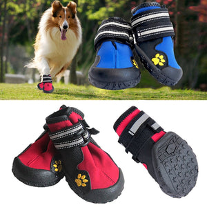 Dogs 4pc Sports Running Sneakers Set - Ailime Designs
