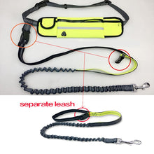 Load image into Gallery viewer, Reflective Animal Elastic Nylon Leashes - Ailime Designs