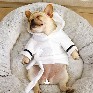 Adorable Small Dog Bathrobe Accessories - Ailime Designs