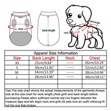 Load image into Gallery viewer, Girl Dog High Style Elegant Ruffle Beaded Dresses – Fine Quality Accessories