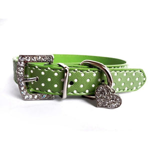 Girl Dog Polka Dot Collars - Ailime Designs