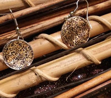 Load image into Gallery viewer, Women’s Stylish Fashion Earrings – Fine Quality Jewelry