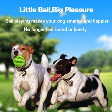 Load image into Gallery viewer, Pet Accessories - Animal Treat Balls Products
