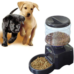 Pet Accessories - Animal Food Products - Ailime Designs