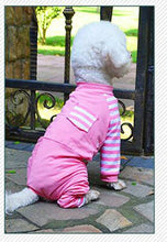 Load image into Gallery viewer, Pet Clothes Accessories - Animal Stylish Fashions