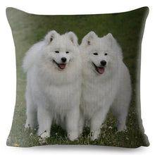 Load image into Gallery viewer, Sweet Siberia Samoyed Print Throw Pillow - Ailime Designs