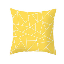 Load image into Gallery viewer, Lemon Delightful Print Design Throw Pillows