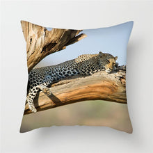 Load image into Gallery viewer, Cheetah Animal Print Design Throw Pillows
