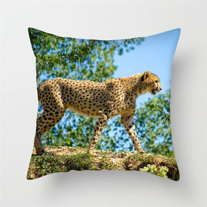 Cheetah Animal Print Design Throw Pillows
