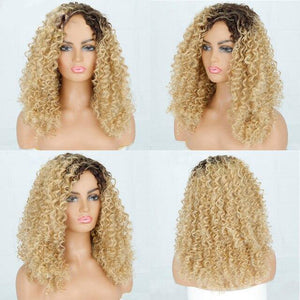 Blonde Kinky Curley Synthetic Hair Wigs -  Ailime Designs