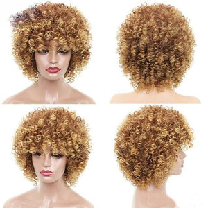 Blonde Kinky Curley Synthetic Hair Wigs -  Ailime Designs