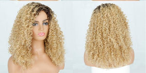 Kinky Curley Synthetic Hair Wigs -  Ailime Designs