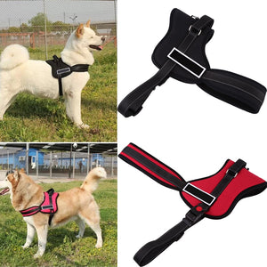 Animal Adjustable Harnesses - Pet Accessories - Ailime Designs