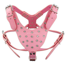 Load image into Gallery viewer, Animal Decorative Walking Leashes And Harnesses- Pet Accessories - Ailime Designs