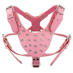 Animal Decorative Walking Leashes And Harnesses- Pet Accessories - Ailime Designs
