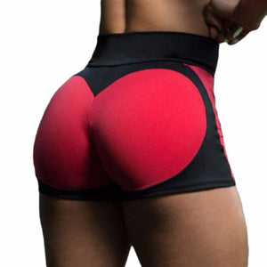 Women's Sport Style Gym Yoga Shorts w/ Elastic Waistline - Ailime Designs