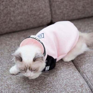 Pet Clothes Accessories - Animal Stylish Fashions