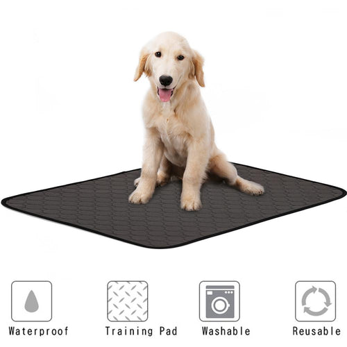 Pet Accessories - Animal Training Pad Products