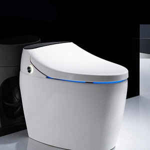 New Style Elongated Remote Controlled Bidet Toilets Ailime Designs