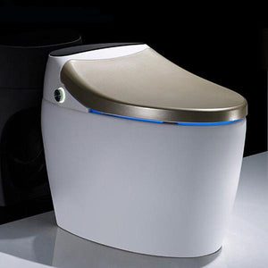 New Style Elongated Remote Controlled Bidet Toilets Ailime Designs