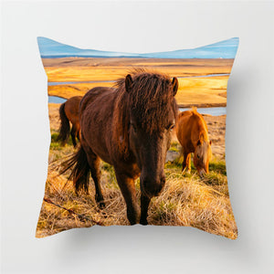 Texas Horses Print Design Throw Pillows