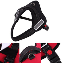 Load image into Gallery viewer, Animal Adjustable Harnesses - Pet Accessories - Ailime Designs